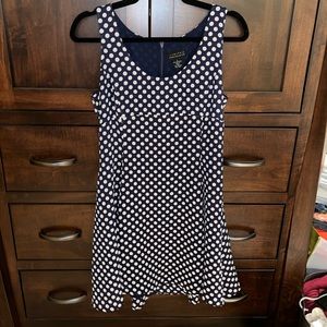 The Limited Navy Polka Dot Swing Dress